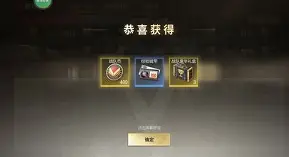 闪耀是哪个足球队